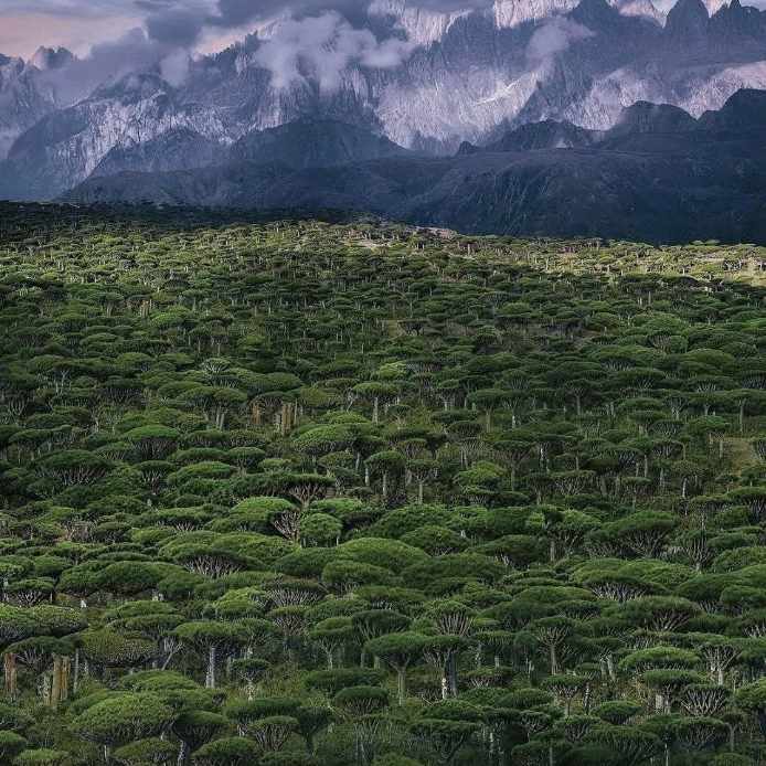 آهنگ جدید  ساکت بابا طبل تو خالی رخ بنما ببینم بچه کجایی